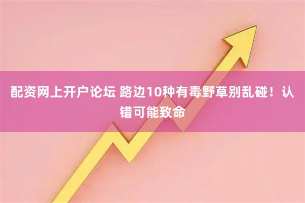 配资网上开户论坛 路边10种有毒野草别乱碰！认错可能致命