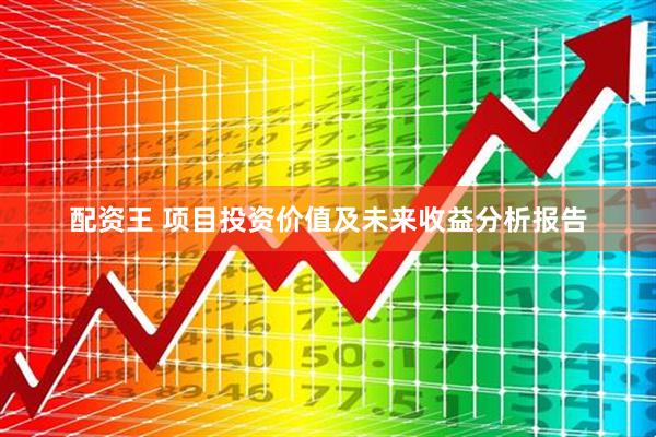 配资王 项目投资价值及未来收益分析报告